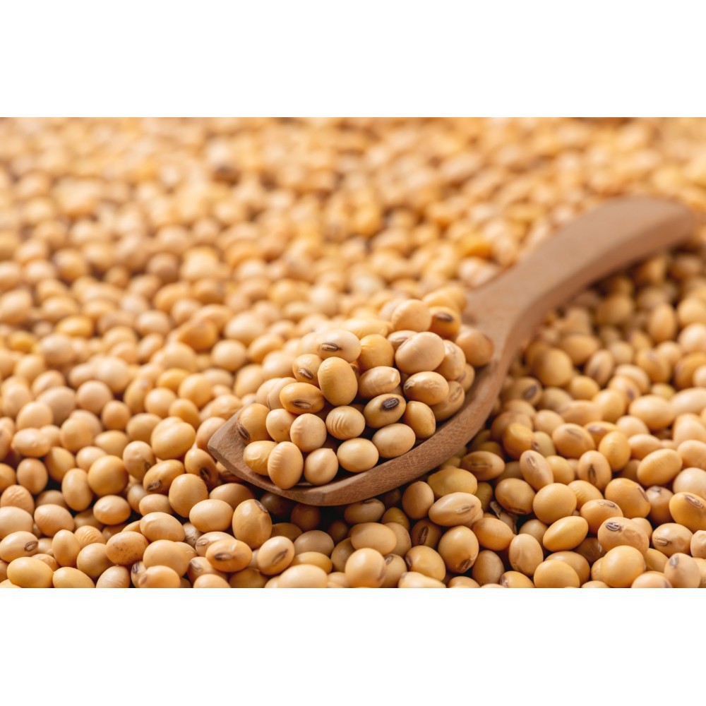 soya bean \panathottam