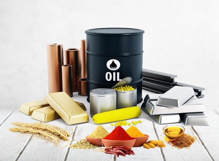 commodities\panathottam